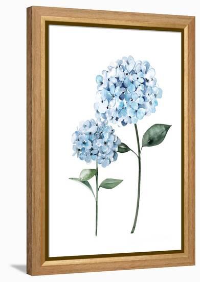 Two Hydrangeas-Enya Todd-Framed Stretched Canvas