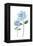 Two Hydrangeas-Enya Todd-Framed Stretched Canvas