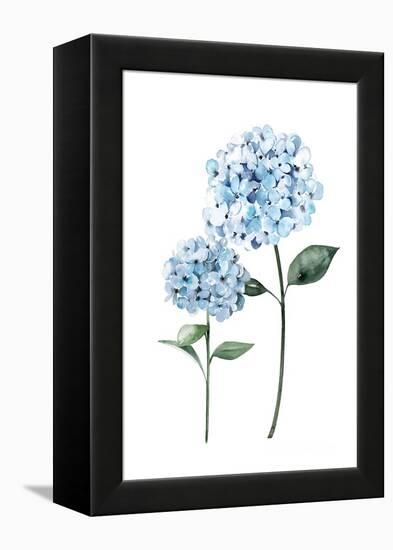 Two Hydrangeas-Enya Todd-Framed Stretched Canvas