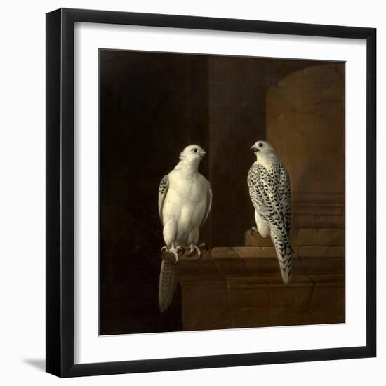 Two Iceland Falcons-Jakob Bogdani Or Bogdany-Framed Giclee Print