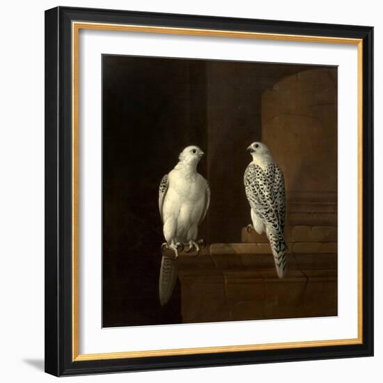 Two Iceland Falcons-Jakob Bogdani Or Bogdany-Framed Giclee Print