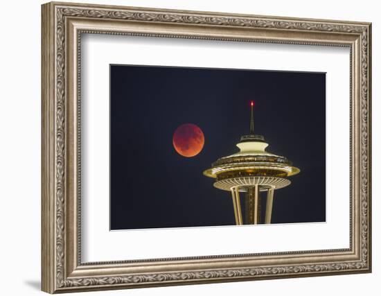 Two Image Composite to Account for Brightness of the Needle-Gary Luhm-Framed Photographic Print