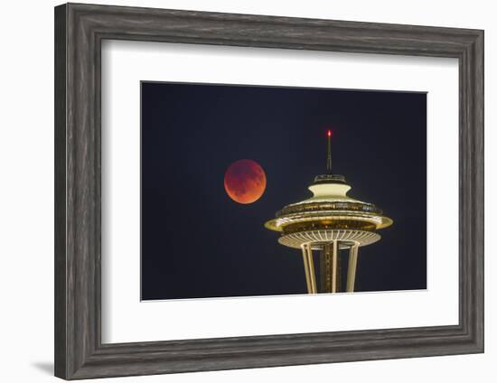 Two Image Composite to Account for Brightness of the Needle-Gary Luhm-Framed Photographic Print