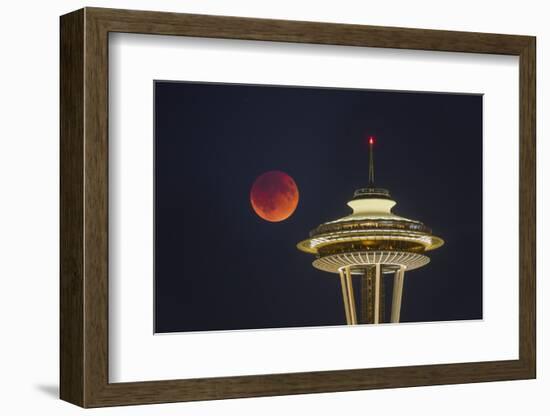 Two Image Composite to Account for Brightness of the Needle-Gary Luhm-Framed Photographic Print