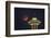 Two Image Composite to Account for Brightness of the Needle-Gary Luhm-Framed Photographic Print