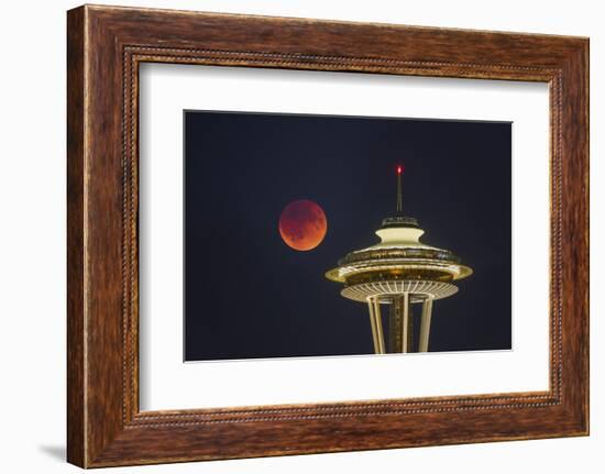 Two Image Composite to Account for Brightness of the Needle-Gary Luhm-Framed Photographic Print