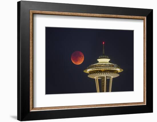 Two Image Composite to Account for Brightness of the Needle-Gary Luhm-Framed Photographic Print