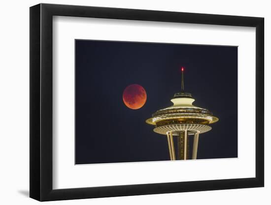 Two Image Composite to Account for Brightness of the Needle-Gary Luhm-Framed Photographic Print