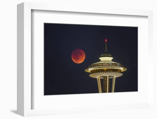 Two Image Composite to Account for Brightness of the Needle-Gary Luhm-Framed Photographic Print