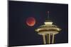 Two Image Composite to Account for Brightness of the Needle-Gary Luhm-Mounted Photographic Print