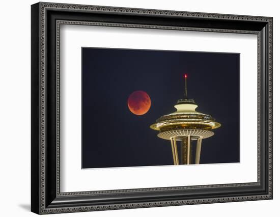 Two Image Composite to Account for Brightness of the Needle-Gary Luhm-Framed Photographic Print