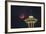 Two Image Composite to Account for Brightness of the Needle-Gary Luhm-Framed Photographic Print