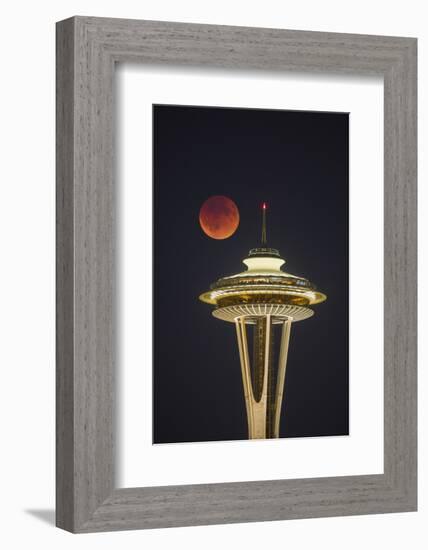 Two Image Composite to Account for Brightness of the Needle-Gary Luhm-Framed Photographic Print