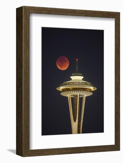 Two Image Composite to Account for Brightness of the Needle-Gary Luhm-Framed Photographic Print