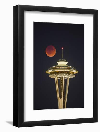 Two Image Composite to Account for Brightness of the Needle-Gary Luhm-Framed Photographic Print