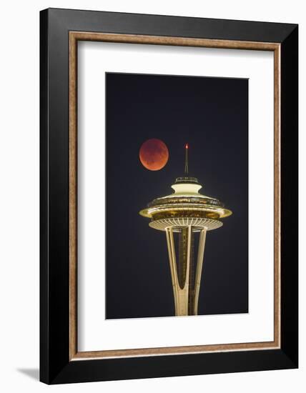 Two Image Composite to Account for Brightness of the Needle-Gary Luhm-Framed Photographic Print