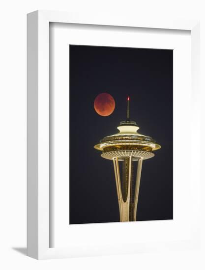 Two Image Composite to Account for Brightness of the Needle-Gary Luhm-Framed Photographic Print