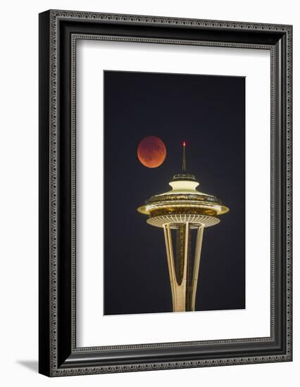 Two Image Composite to Account for Brightness of the Needle-Gary Luhm-Framed Photographic Print