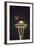 Two Image Composite to Account for Brightness of the Needle-Gary Luhm-Framed Photographic Print