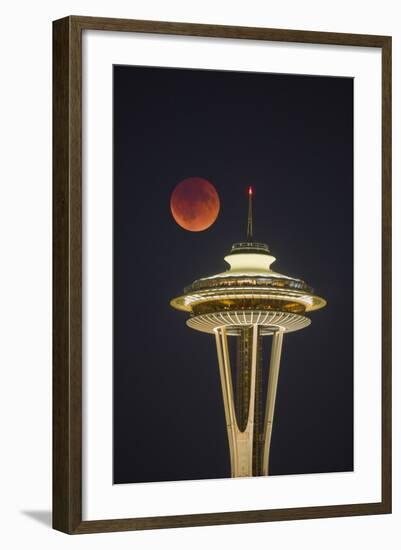 Two Image Composite to Account for Brightness of the Needle-Gary Luhm-Framed Photographic Print