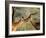 Two Impalas Standing Cheek to Cheek-John Alves-Framed Photographic Print