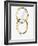 Two interlocked wedding rings-Matthias Kulka-Framed Giclee Print