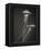 Two Jellyfish-Henry Horenstein-Framed Premier Image Canvas