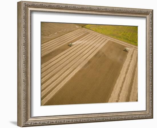 Two John Deere combines harvesting soybeans. Marion County, Illinois.-Richard & Susan Day-Framed Photographic Print
