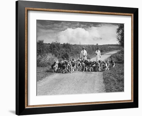 Two Kennel Workers Exercising Foxhounds on an English Country Lane-null-Framed Photographic Print