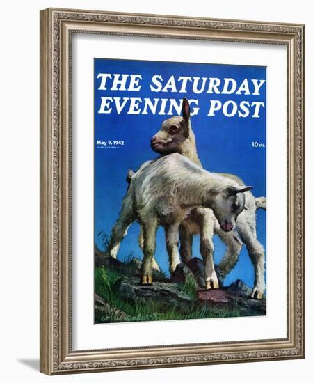 "Two Kid Goats," Saturday Evening Post Cover, May 9, 1942-W.W. Calvert-Framed Giclee Print