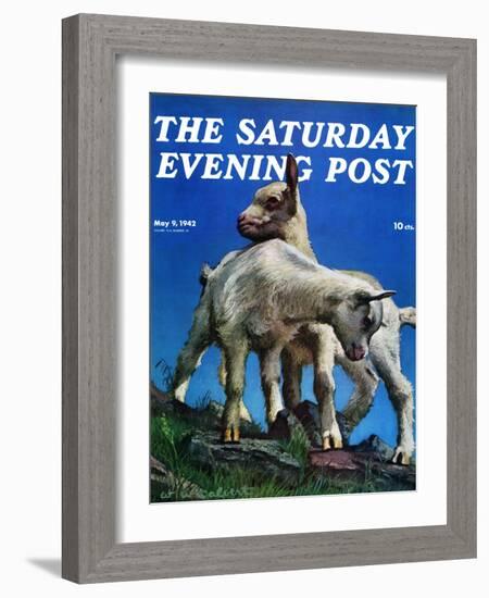 "Two Kid Goats," Saturday Evening Post Cover, May 9, 1942-W.W. Calvert-Framed Giclee Print