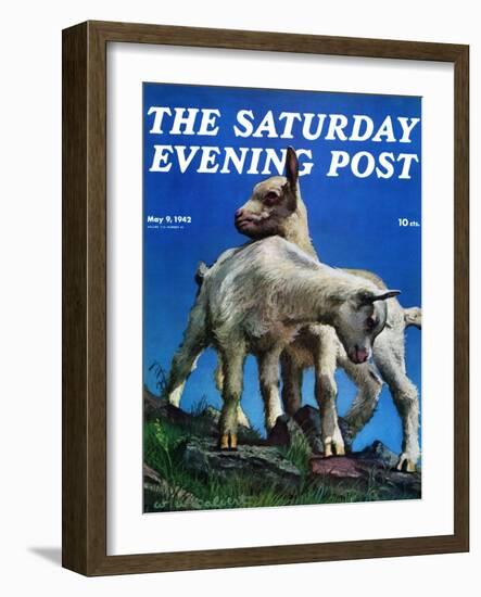 "Two Kid Goats," Saturday Evening Post Cover, May 9, 1942-W.W. Calvert-Framed Giclee Print