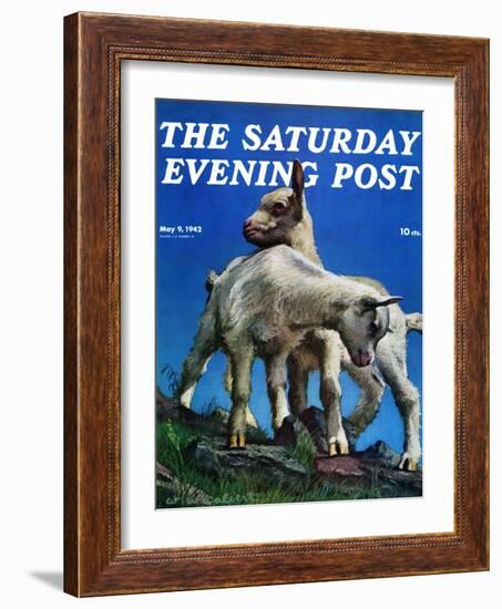 "Two Kid Goats," Saturday Evening Post Cover, May 9, 1942-W.W. Calvert-Framed Giclee Print