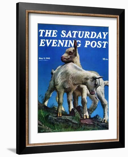 "Two Kid Goats," Saturday Evening Post Cover, May 9, 1942-W.W. Calvert-Framed Giclee Print