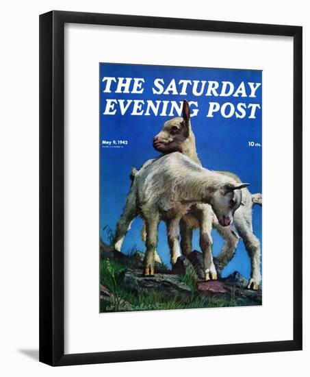 "Two Kid Goats," Saturday Evening Post Cover, May 9, 1942-W.W. Calvert-Framed Giclee Print