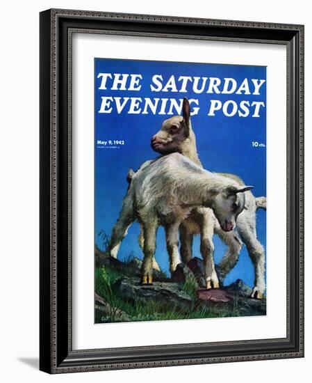 "Two Kid Goats," Saturday Evening Post Cover, May 9, 1942-W.W. Calvert-Framed Giclee Print