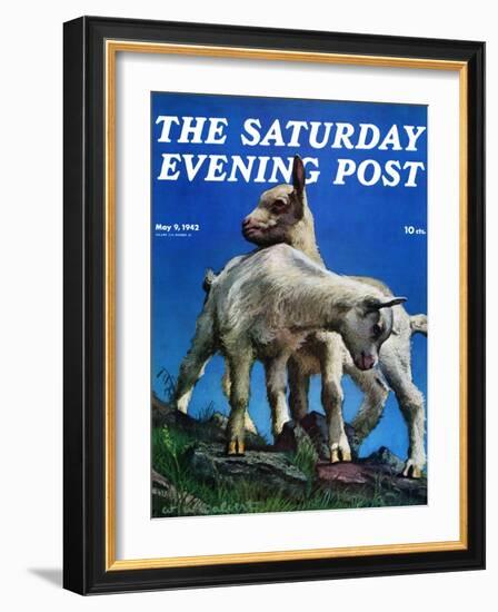 "Two Kid Goats," Saturday Evening Post Cover, May 9, 1942-W.W. Calvert-Framed Giclee Print