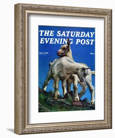 "Two Kid Goats," Saturday Evening Post Cover, May 9, 1942-W.W. Calvert-Framed Giclee Print