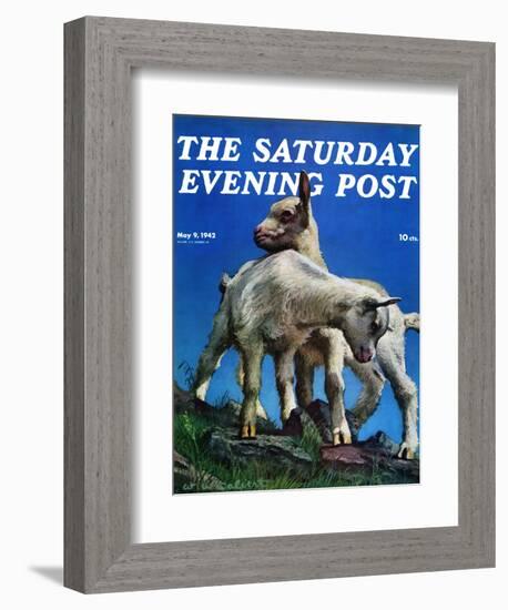 "Two Kid Goats," Saturday Evening Post Cover, May 9, 1942-W.W. Calvert-Framed Giclee Print