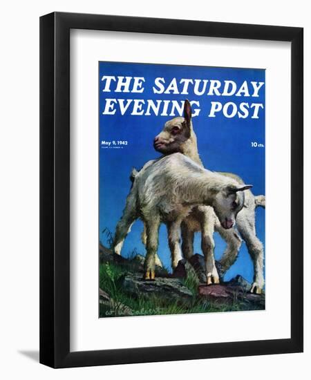 "Two Kid Goats," Saturday Evening Post Cover, May 9, 1942-W.W. Calvert-Framed Giclee Print