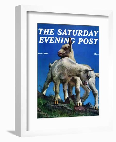 "Two Kid Goats," Saturday Evening Post Cover, May 9, 1942-W.W. Calvert-Framed Giclee Print