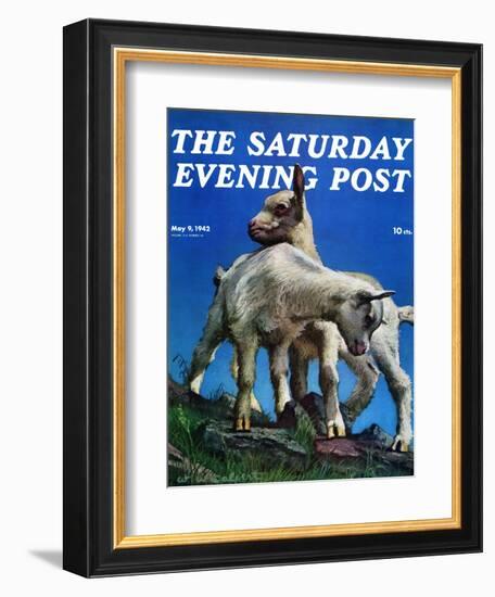 "Two Kid Goats," Saturday Evening Post Cover, May 9, 1942-W.W. Calvert-Framed Premium Giclee Print
