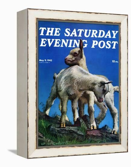 "Two Kid Goats," Saturday Evening Post Cover, May 9, 1942-W.W. Calvert-Framed Premier Image Canvas