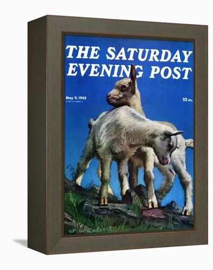 "Two Kid Goats," Saturday Evening Post Cover, May 9, 1942-W.W. Calvert-Framed Premier Image Canvas