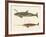 Two Kinds of Whales-null-Framed Giclee Print