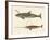 Two Kinds of Whales-null-Framed Giclee Print