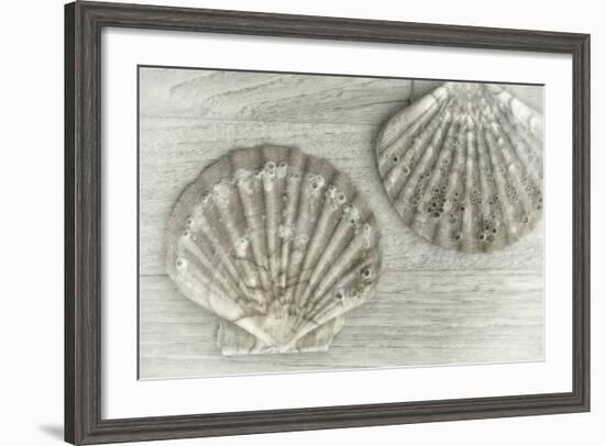 Two King Scallop Shells-Cora Niele-Framed Photographic Print