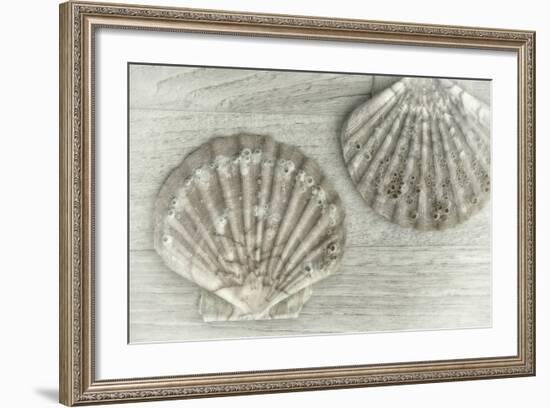 Two King Scallop Shells-Cora Niele-Framed Photographic Print