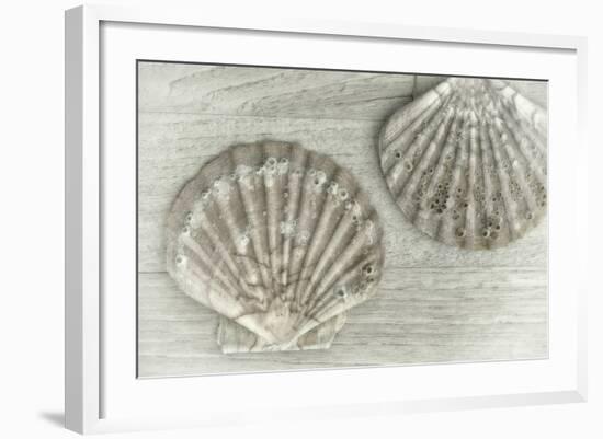 Two King Scallop Shells-Cora Niele-Framed Photographic Print