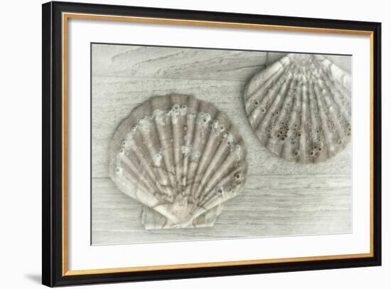 Two King Scallop Shells-Cora Niele-Framed Photographic Print